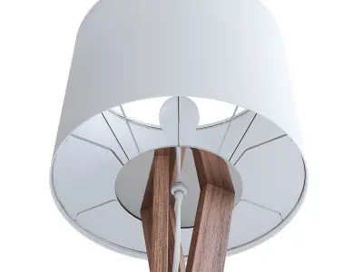 Wooden Floor Lamp 3D model