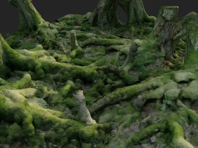 3d scanned nature forest roots 005  3D model