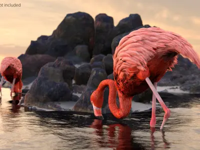  Tropical Bird Flamingo Pink Rigged 