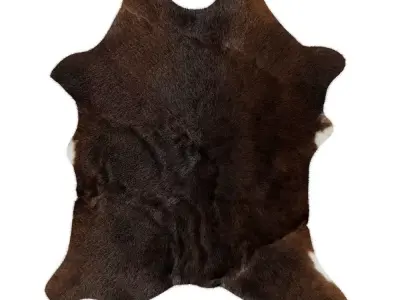 Animal skin rug 16 3D model