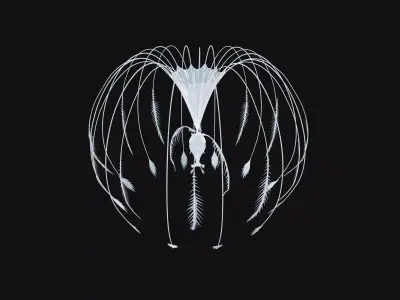 Avatar - Woodsprite -animated Low-poly 3D model