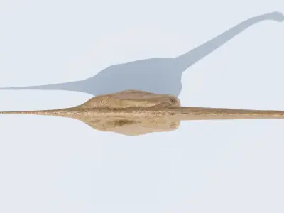  Brachiosaurus-Altitorax 