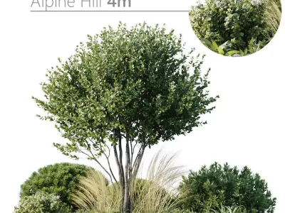 Outdoor Plants 3 3D model