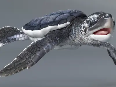  Black Baby Sea Turtle Swim Rigged For Maya Animated 