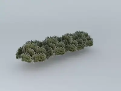 Street trees taquari Free 3D model