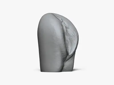  Anatomy of a Vagina for Study 