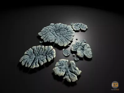 Alien Plant Lichen Type1 Low-poly 3D model