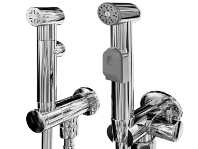 Hygienic shower 3D model