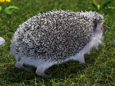  White Hedgehog Fur for Maya 