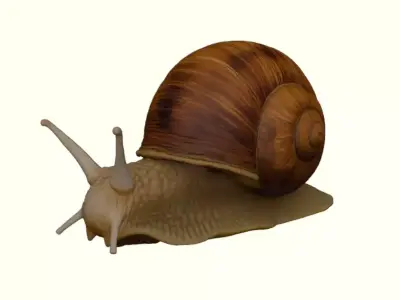 Woodland Garden Snail 3D print model