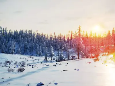Winter Forest Environment 3D model