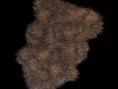 Skin sheepskin 3D model