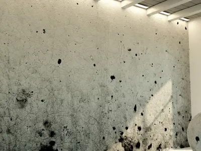 Concrete wall Old concrete  65 Texture