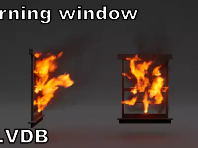 Burning window vdb 3D model