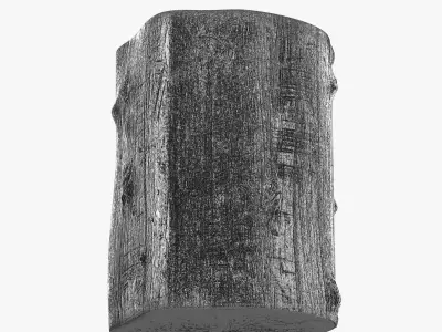 Log Stool tree trunk by Jason Philips 3D model