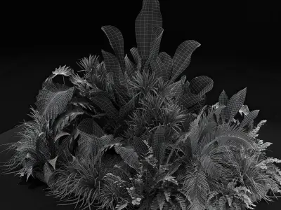  Plants collection 445 