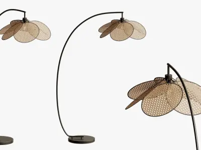 Afralia Rattan Bulb Floor Lamp 3D model