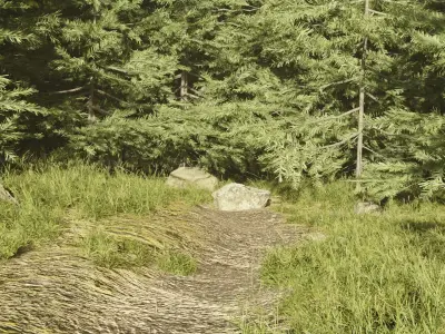 Forest Environment Low-poly 3D model