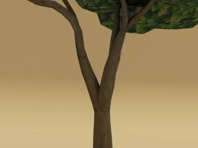 Cartoon Acacia Tree 3D Model Low-poly 3D model