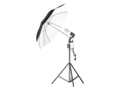 Umbrella Lighting Single Light Bulb 3D model