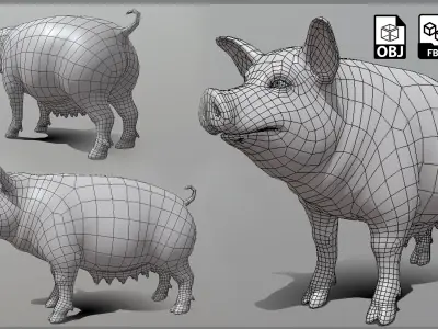 Female Pig BaseMesh - Topology + UV Map