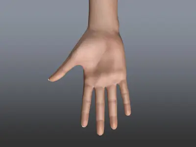  Rigged and Animated Hands (Female) 
