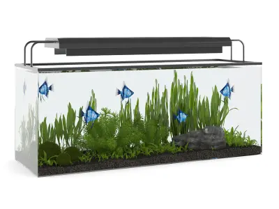Rectangular Aquarium with Light 3D model
