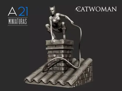 Catwoman 3d Model batman on roof of chimney 3D print model