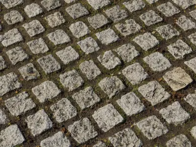 Granite Cobblestone Grid With Moss PBR Texture Texture