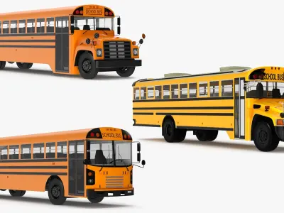  School Buses Rigged Collection 