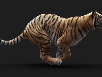  Bengal Tiger ANIMATED Yeti 