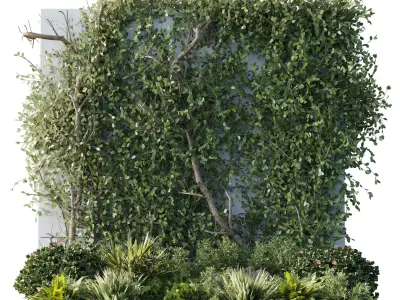 Garden ivy of Plants shrubs and palm tree - outdoor garden Low-poly 3D model