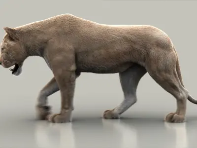  Lioness (3) (FUR) (ANIMATED) 