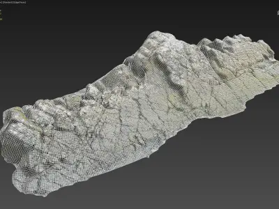 3d scanned rock cliff T 3D model