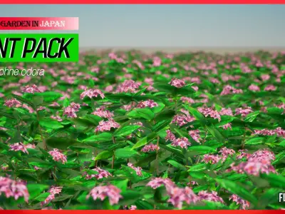 Street Garden in JAPAN - 4 Daphne odora Flower Grass Plant Low-poly 3D model