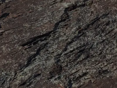 Mossy Wet Layered Rock Texture Texture