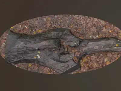 City Park Log Low-poly 3D model