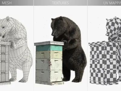  Dark Brown Bear Raiding Beehive Fur 