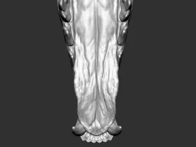  Fox&nbsp;VFX&nbsp;MUSCLE&nbsp;SIMULATION 