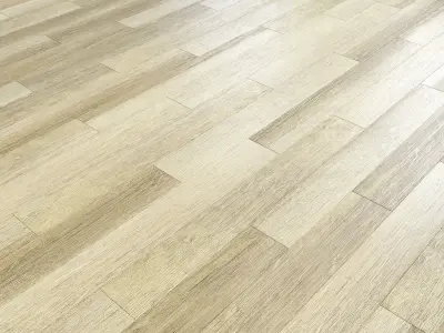 Parquet - Laminate - Wooden floor 3D model 16