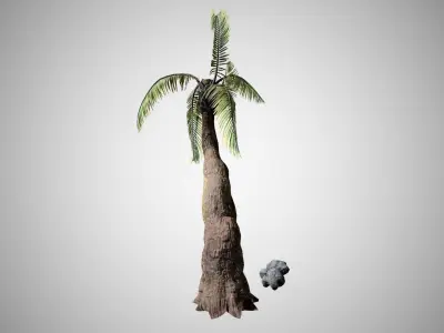 Beach Palm Tree Low-poly 3D model