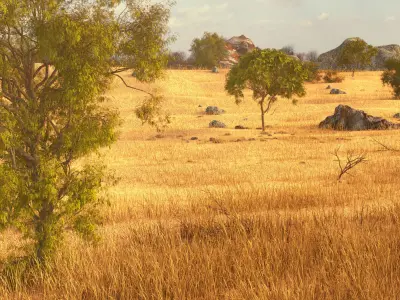 Savannah Environment 3D model