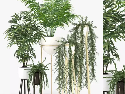 Plants  Free low-poly 3D model