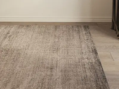 Carpet set 3107 - Wool Rug - 4k 3D model