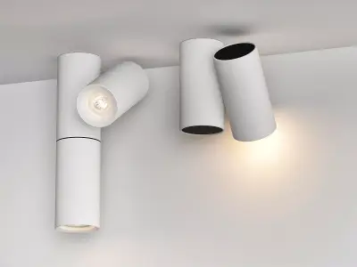 Ceiling Lamps CENTRSVET 5 3D model
