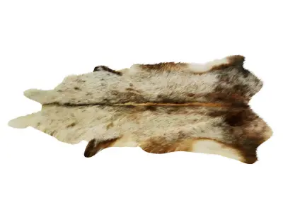Carpet Cowhide Brown White 11 3D model