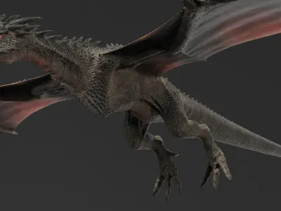 Dragon Black No Rig 