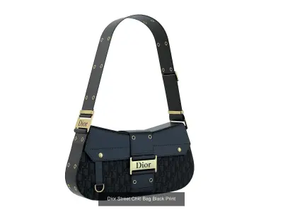 Dior Street Chic Bag 3D Model Pack