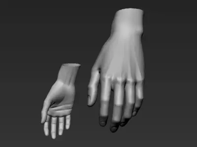 Anatomy female basemesh 3D model 3D model