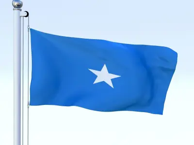 Animated Somalia Flag Low-poly 3D model